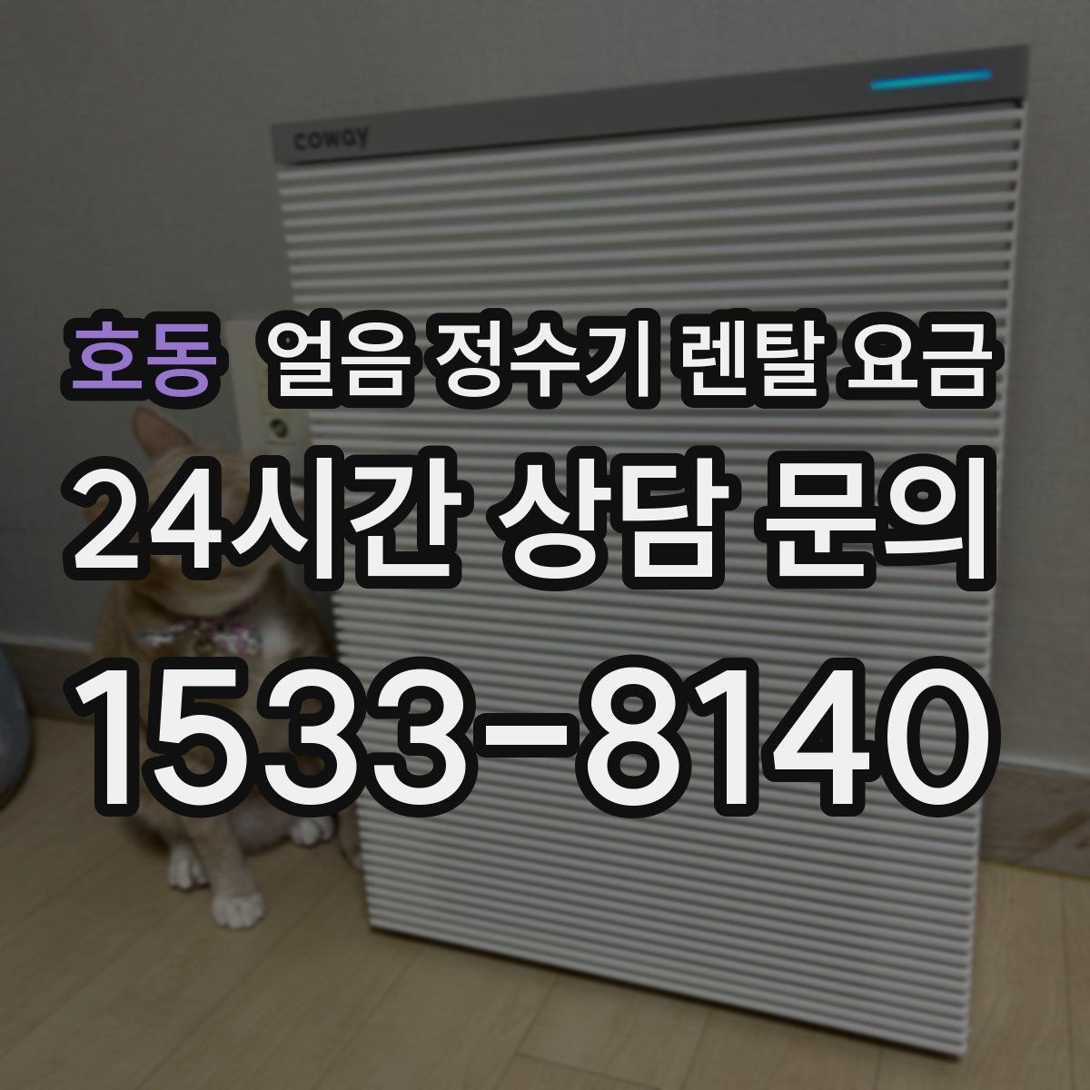 호동 얼음 정수기 렌탈 요금 방문 점검 주기가 중요한 이유