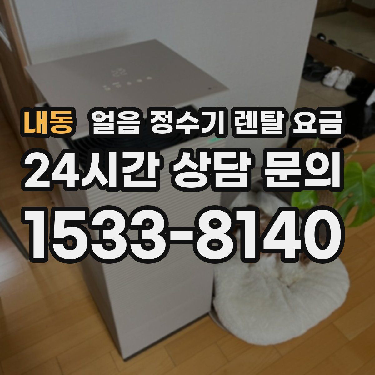 내동 얼음 정수기 렌탈 요금