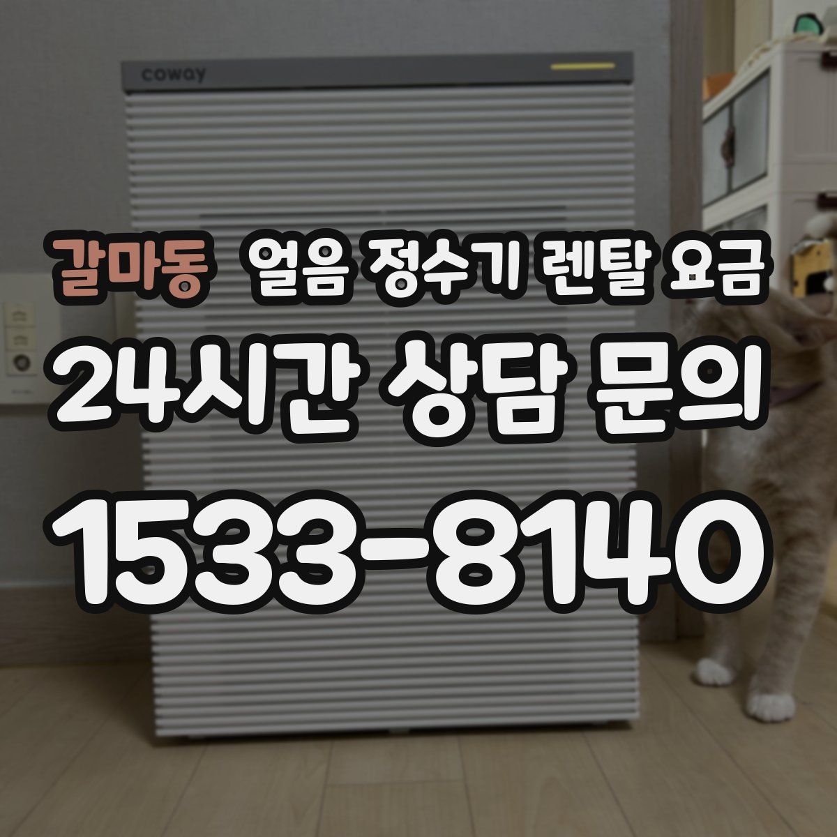 갈마동 얼음 정수기 렌탈 요금