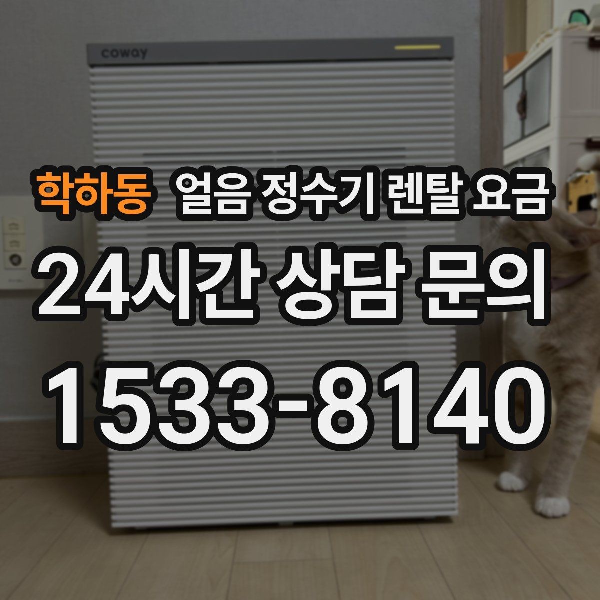 학하동 얼음 정수기 렌탈 요금 업소용과 가정용 차이 정리
