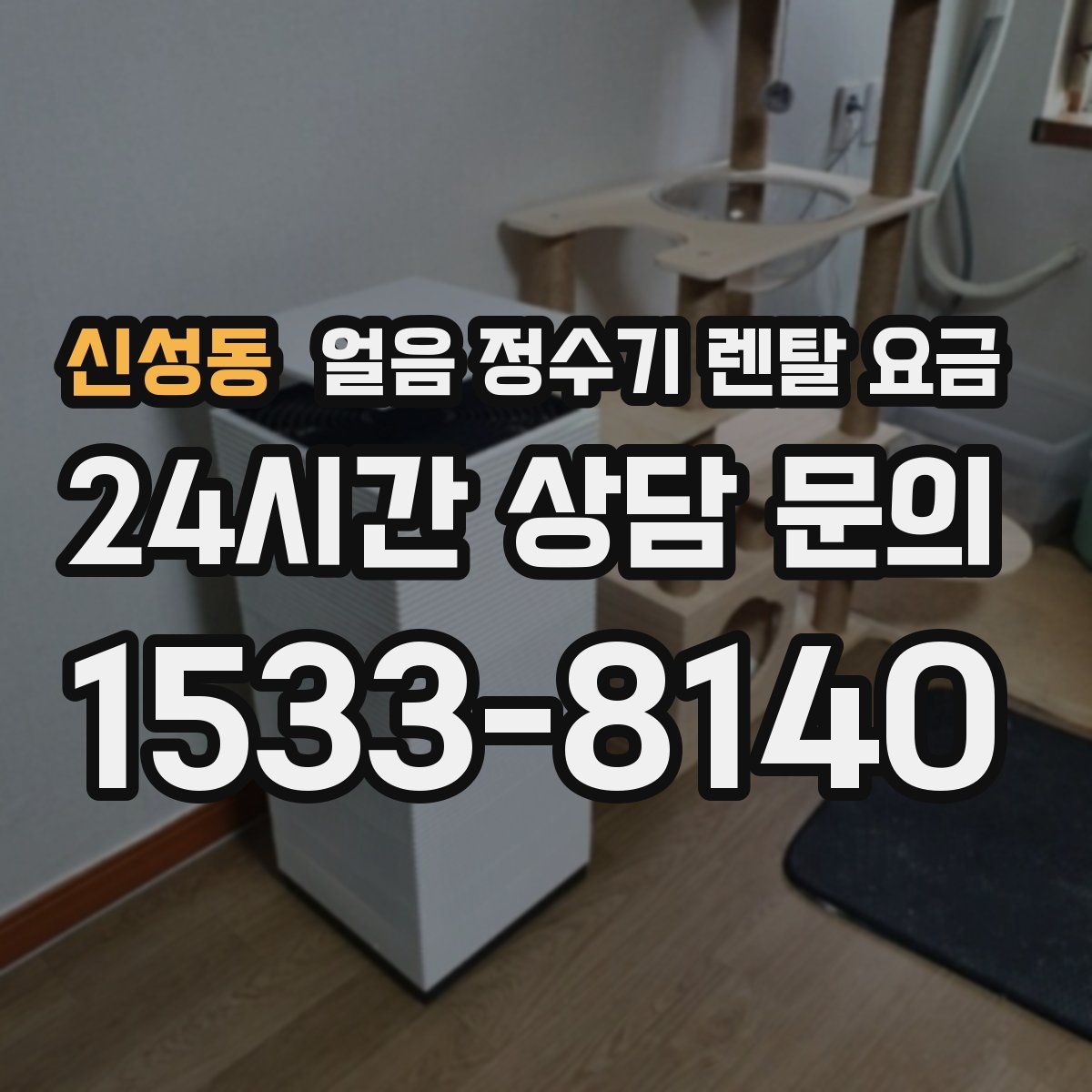 신성동 얼음 정수기 렌탈 요금