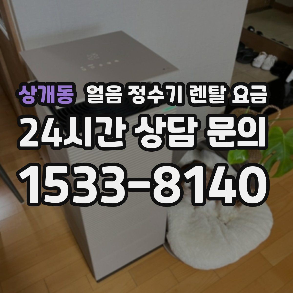 상개동 얼음 정수기 렌탈 요금 오래된 제품 교체가 필요한 이유