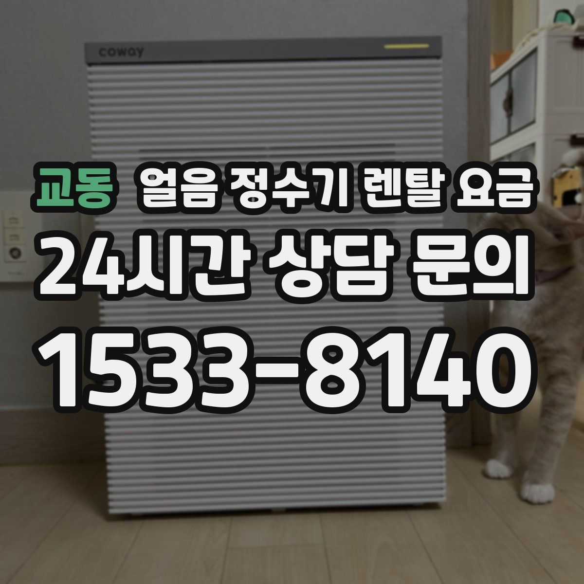 교동 얼음 정수기 렌탈 요금