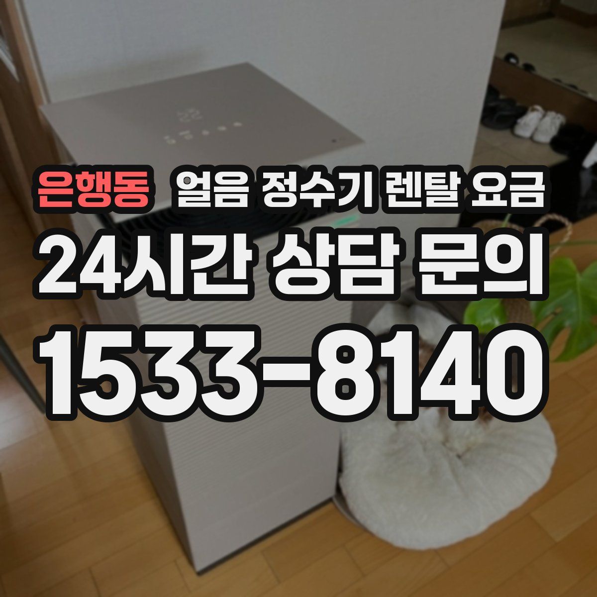 은행동 얼음 정수기 렌탈 요금