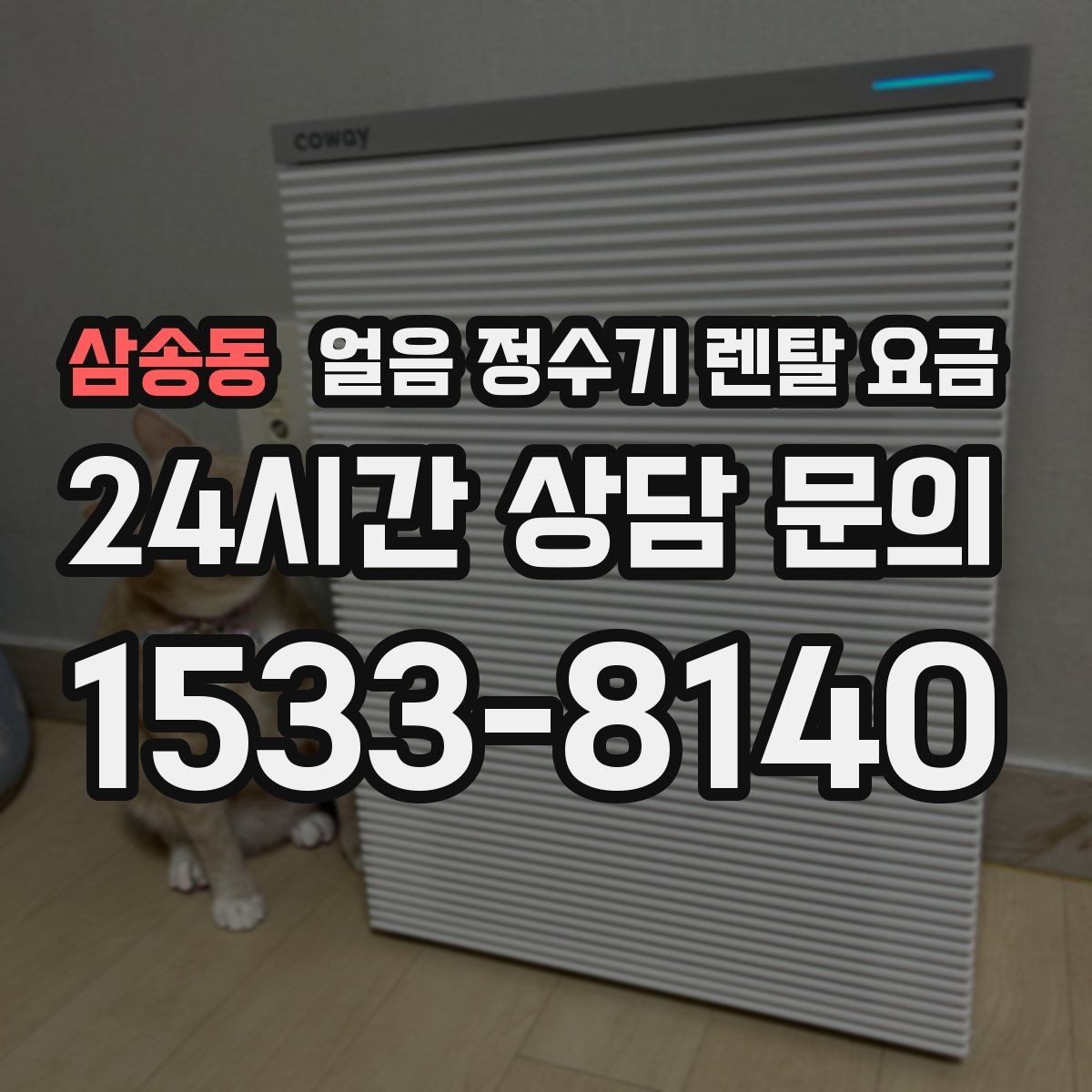 삼송동 얼음 정수기 렌탈 요금 선택 전에 꼭 알아야 할 기본 구조
