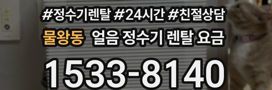 물왕동 얼음 정수기 렌탈 요금