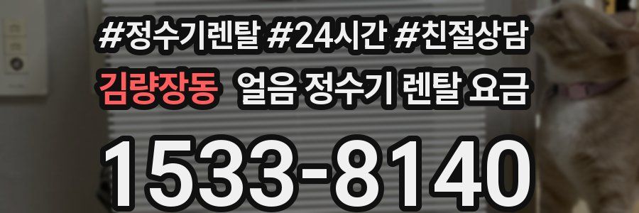 김량장동 얼음 정수기 렌탈 요금