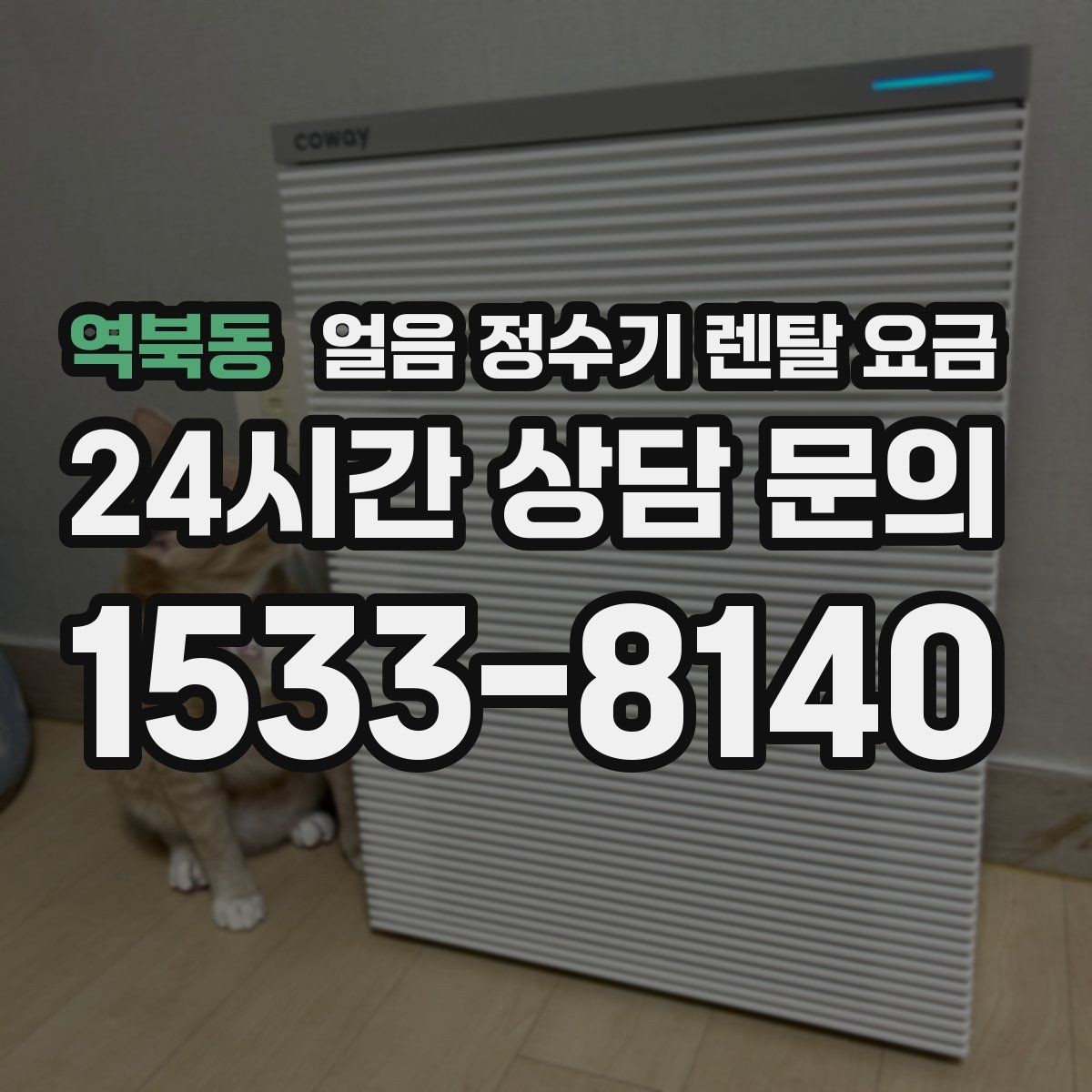 역북동 얼음 정수기 렌탈 요금 가성비 좋은 선택 기준