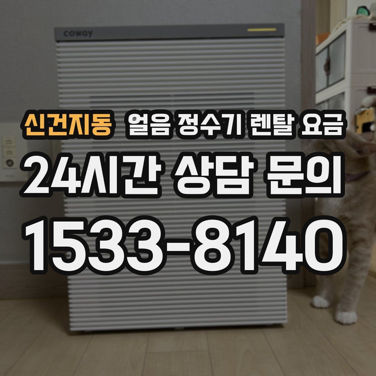 신건지동 얼음 정수기 렌탈 요금 코크 관리까지 따져야 하는 이유