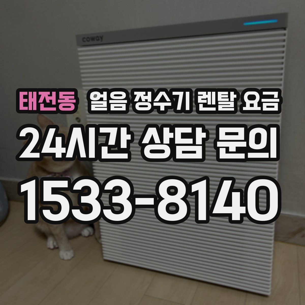 태전동 얼음 정수기 렌탈 요금