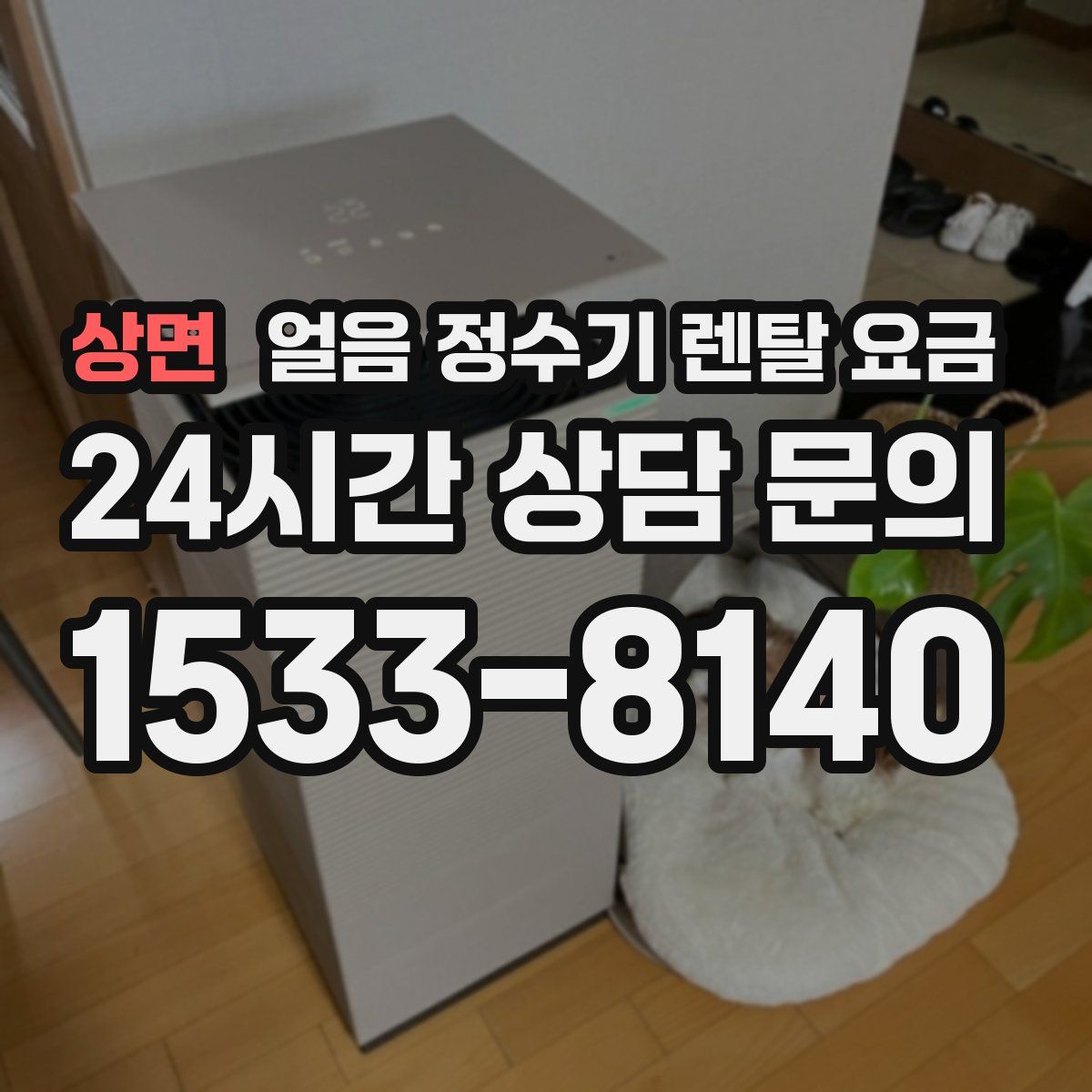 상면 얼음 정수기 렌탈 요금