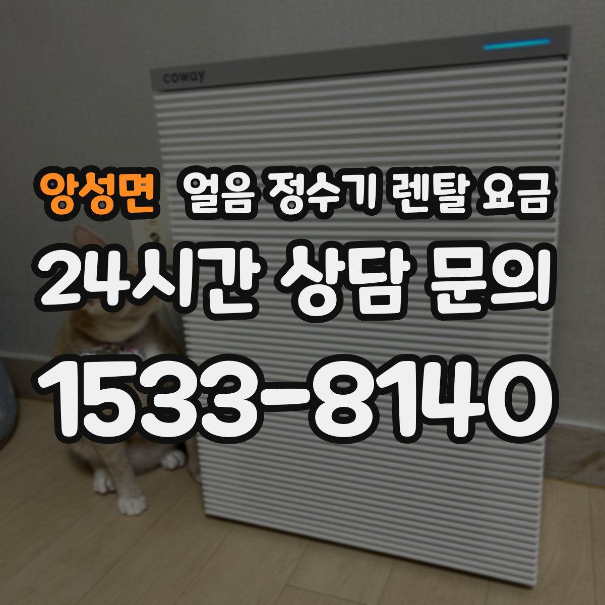 앙성면 얼음 정수기 렌탈 요금