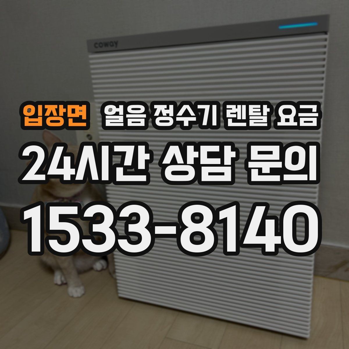 입장면 얼음 정수기 렌탈 요금 카페처럼 사용하는 집의 선택 포인트