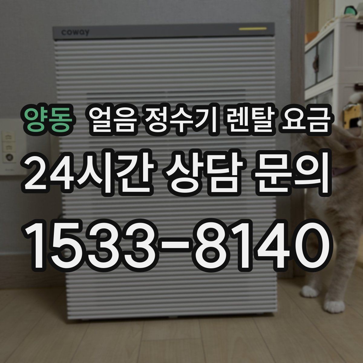 양동 얼음 정수기 렌탈 요금 사용 편의성이 중요한 이유