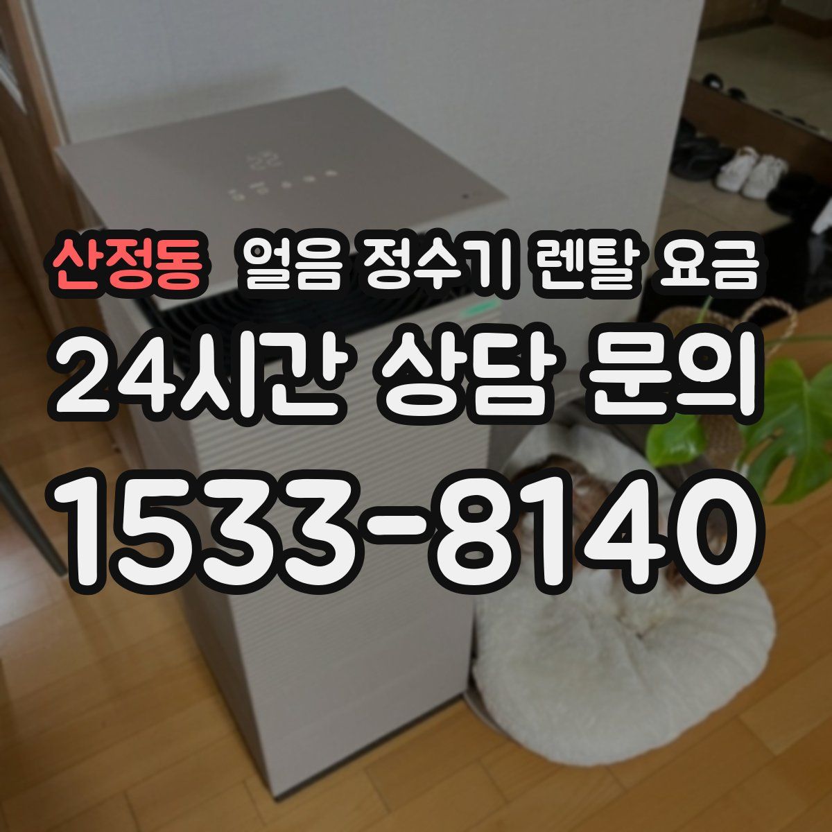 산정동 얼음 정수기 렌탈 요금