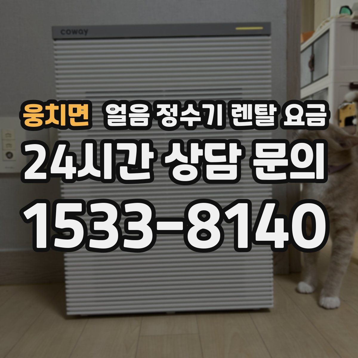 웅치면 얼음 정수기 렌탈 요금 자가관리형과 방문관리형 차이