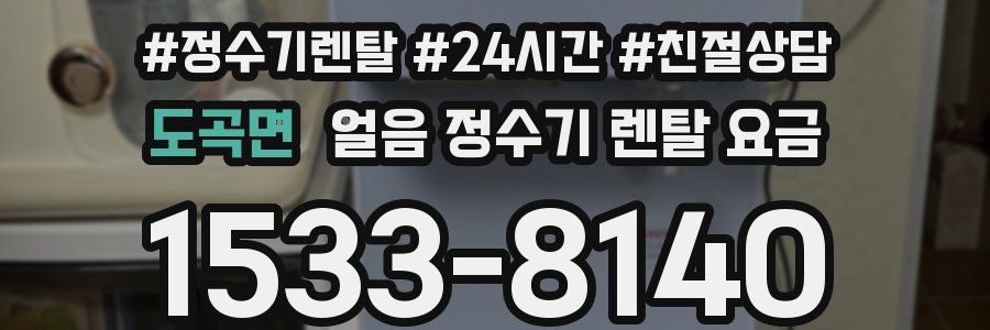 도곡면 얼음 정수기 렌탈 요금