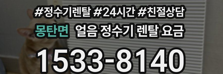 몽탄면 얼음 정수기 렌탈 요금