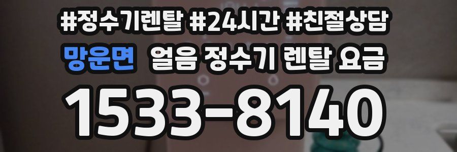 망운면 얼음 정수기 렌탈 요금