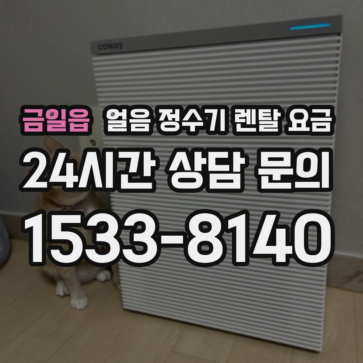 금일읍 얼음 정수기 렌탈 요금