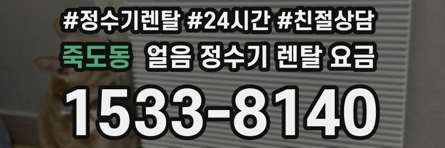 죽도동 얼음 정수기 렌탈 요금