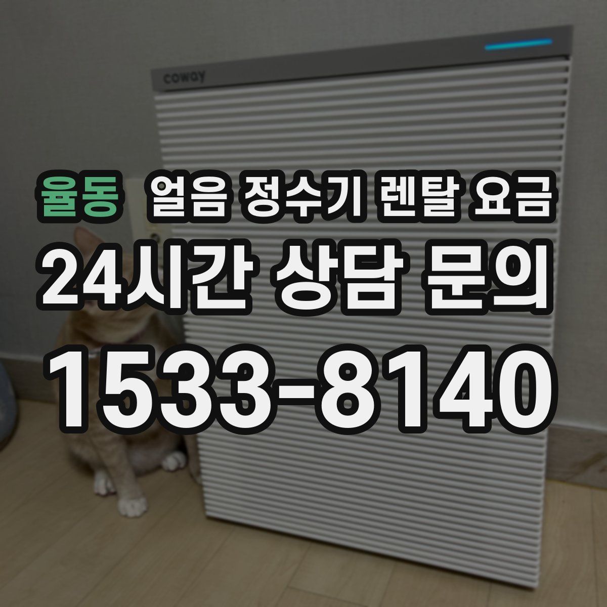 율동 얼음 정수기 렌탈 요금