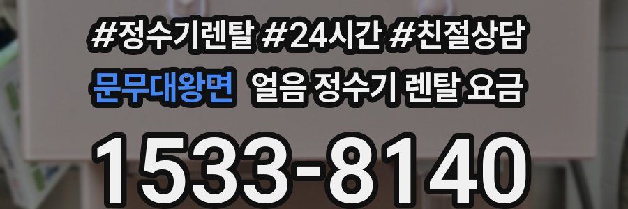 문무대왕면 얼음 정수기 렌탈 요금