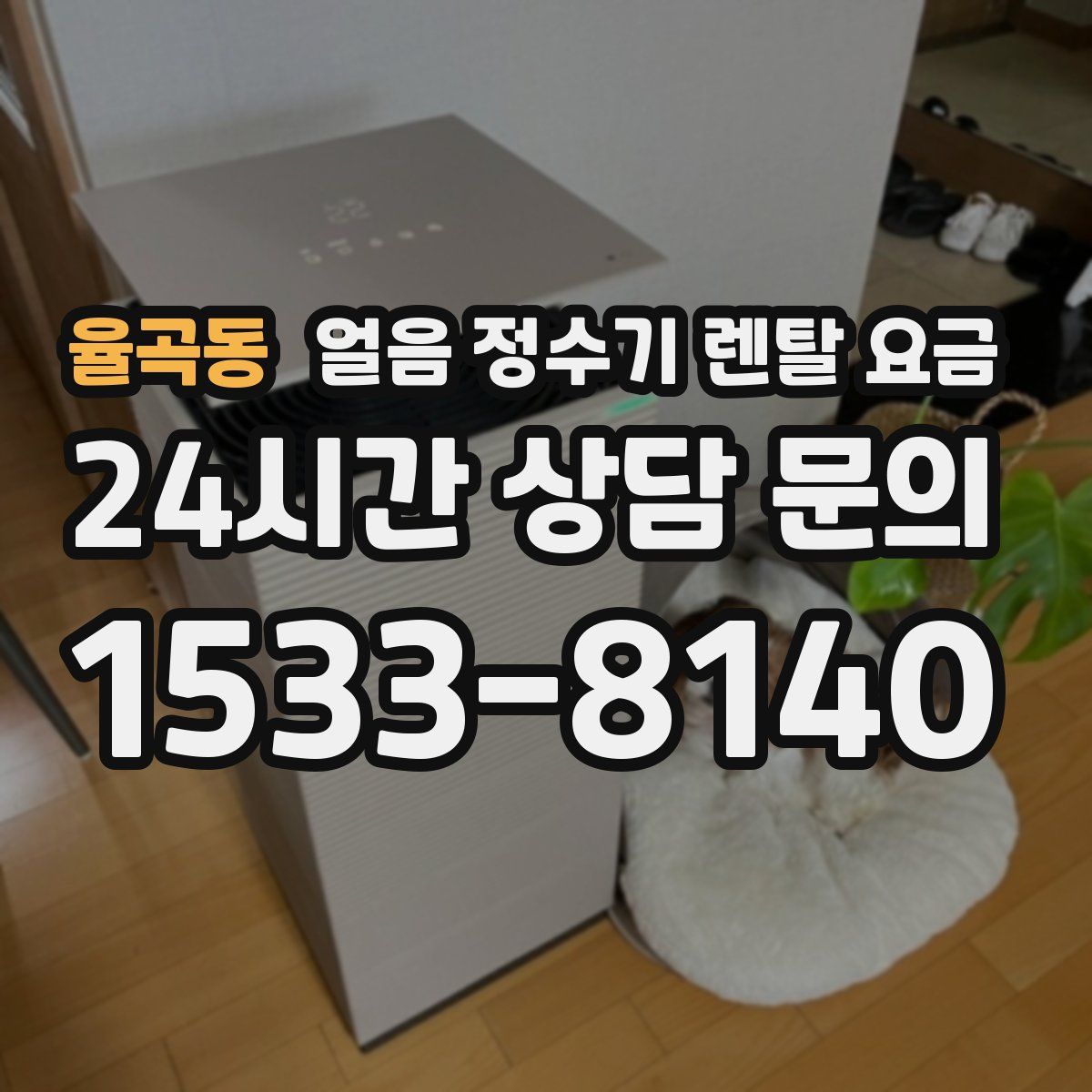 율곡동 얼음 정수기 렌탈 요금