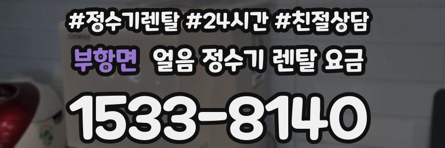 부항면 얼음 정수기 렌탈 요금