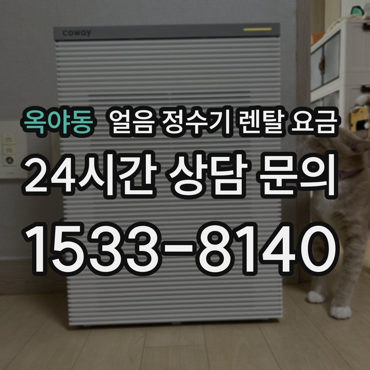 옥야동 얼음 정수기 렌탈 요금 정수 전용 제품과 비교해보기
