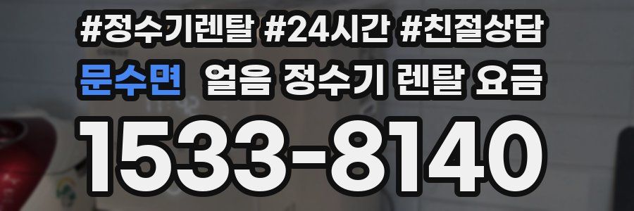 문수면 얼음 정수기 렌탈 요금