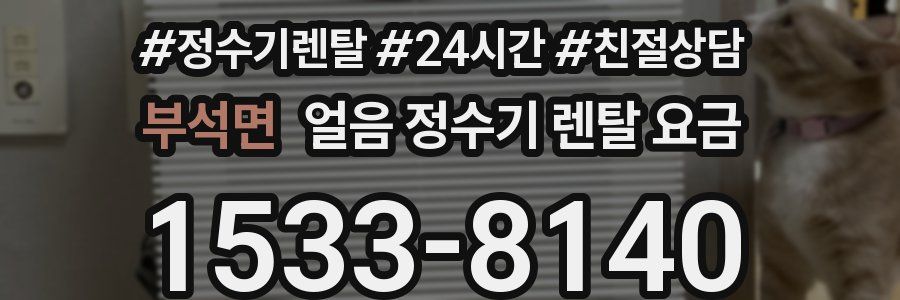 부석면 얼음 정수기 렌탈 요금