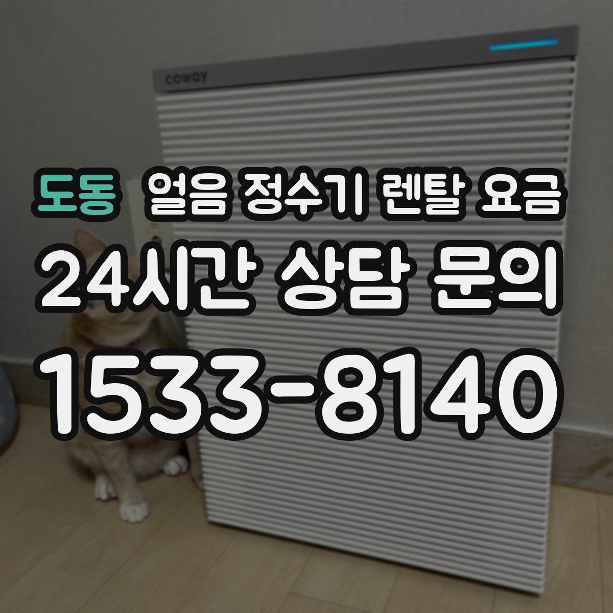 도동 얼음 정수기 렌탈 요금