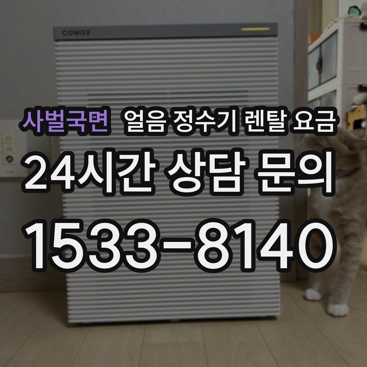 사벌국면 얼음 정수기 렌탈 요금 고가 모델 선택 기준 정리