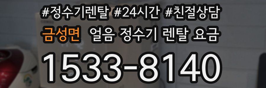 금성면 얼음 정수기 렌탈 요금