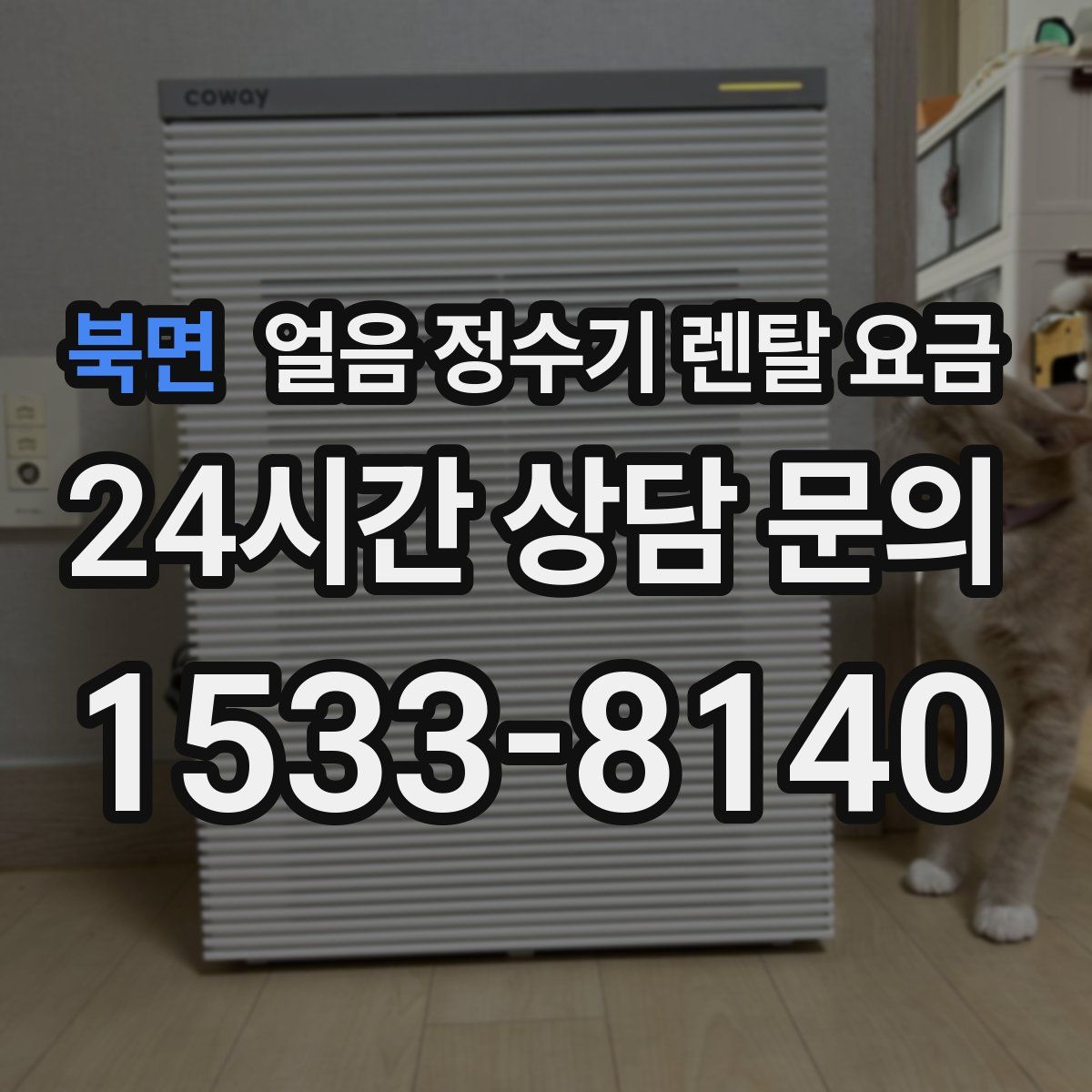 북면 얼음 정수기 렌탈 요금