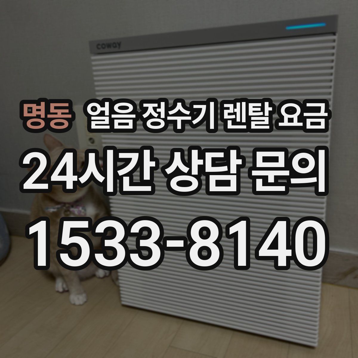 명동 얼음 정수기 렌탈 요금