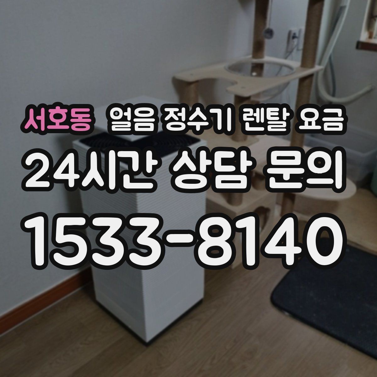 서호동 얼음 정수기 렌탈 요금 고급형과 보급형 차이 정리
