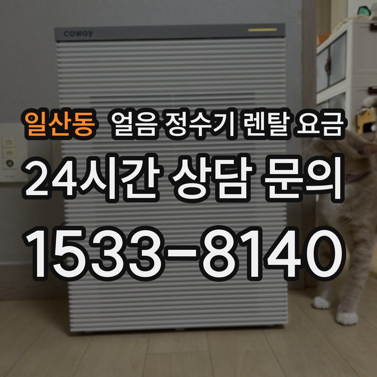 일산동 얼음 정수기 렌탈 요금