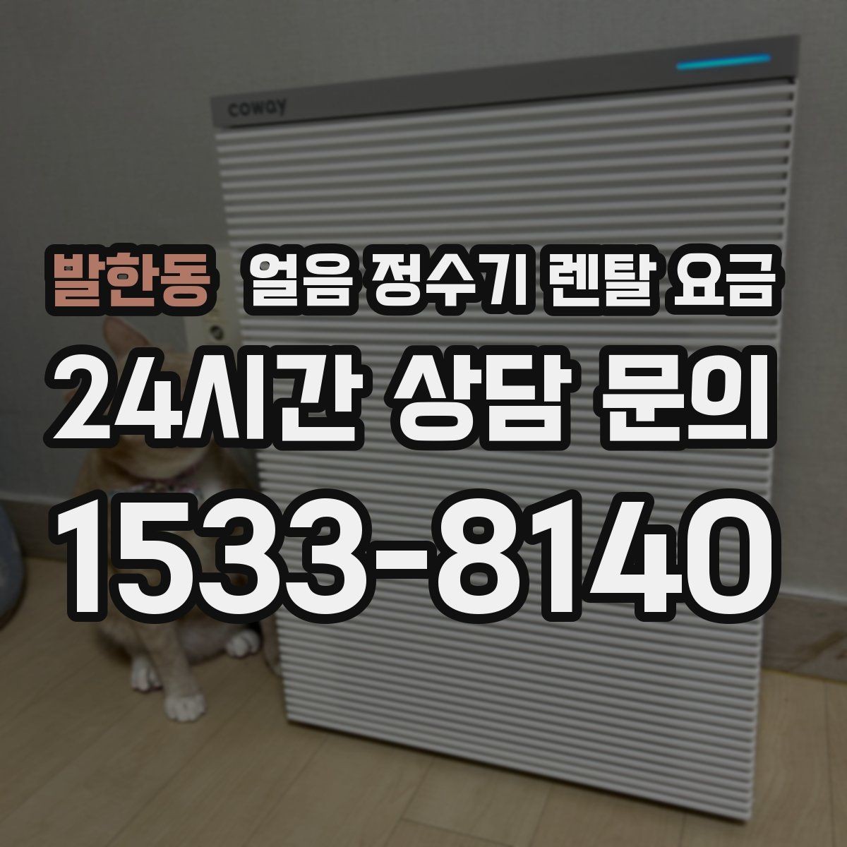 발한동 얼음 정수기 렌탈 요금 부모님도 쉽게 사용하는 제품 기준