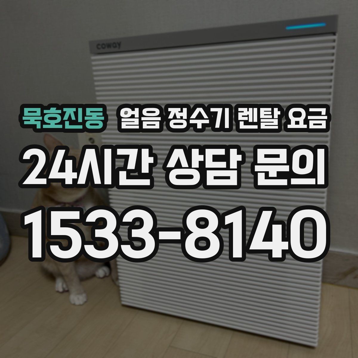묵호진동 얼음 정수기 렌탈 요금 얼음 크기 조절 기능 필요할까