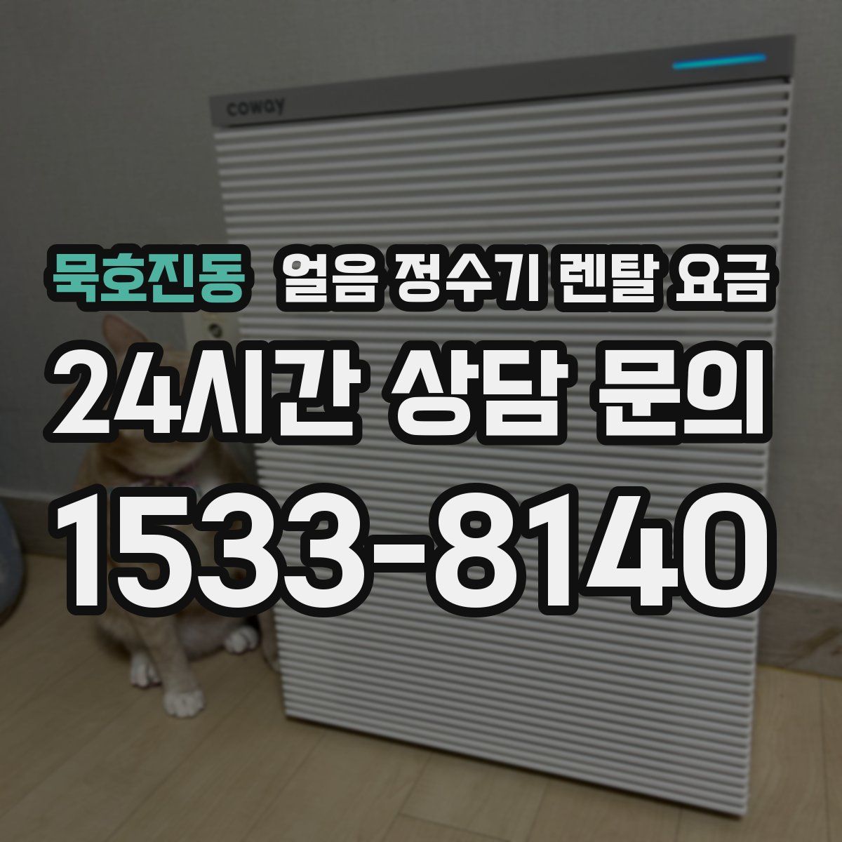 묵호진동 얼음 정수기 렌탈 요금