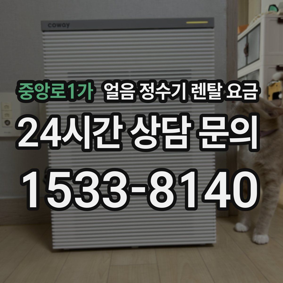 중앙로1가 얼음 정수기 렌탈 요금