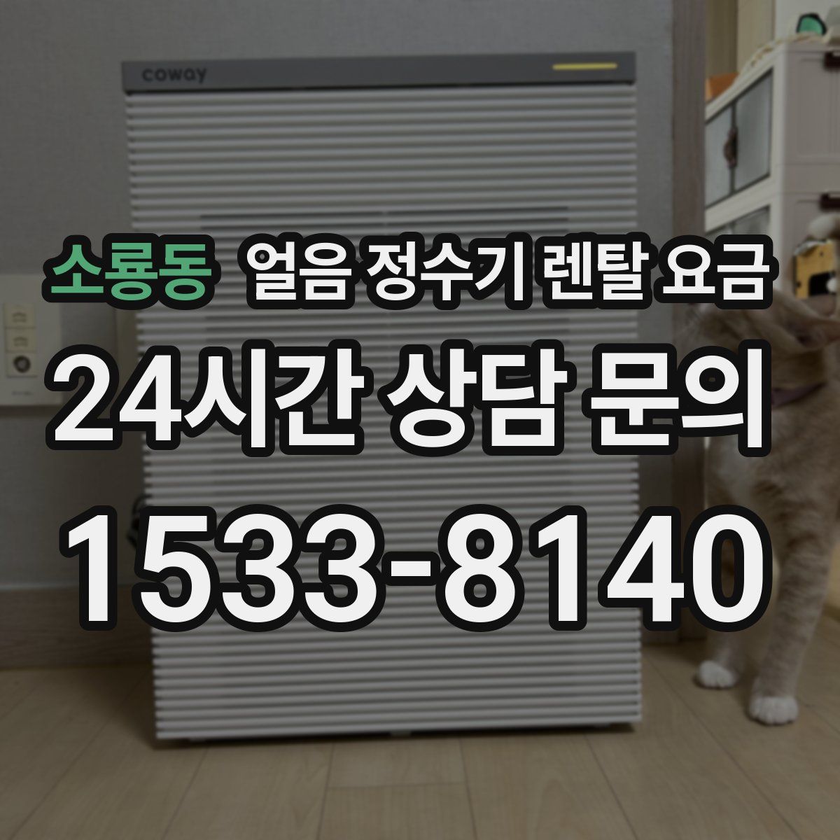 소룡동 얼음 정수기 렌탈 요금