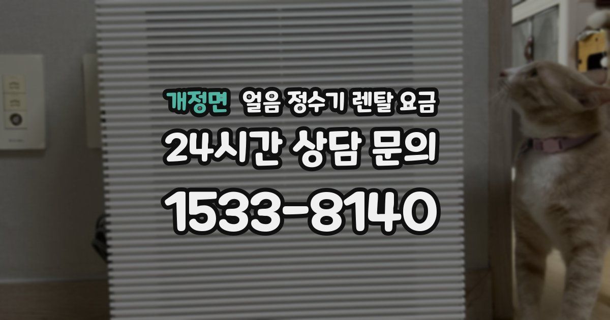 개정면 얼음 정수기 렌탈 요금
