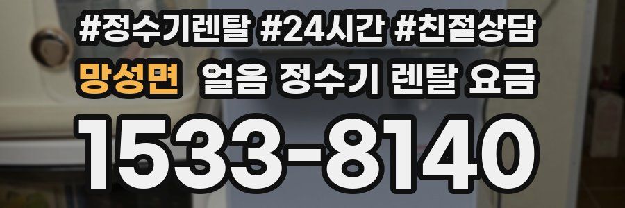 망성면 얼음 정수기 렌탈 요금