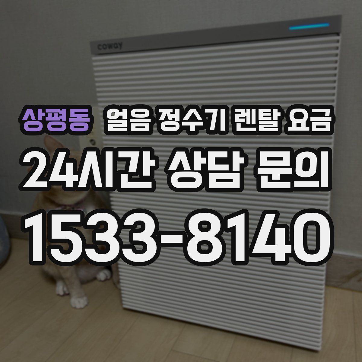 상평동 얼음 정수기 렌탈 요금