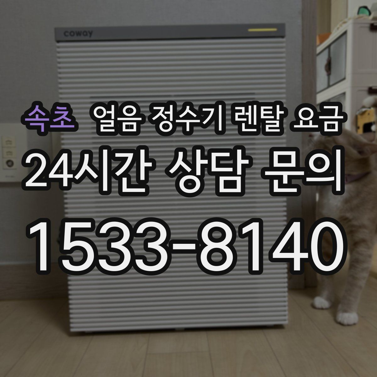 속초 얼음 정수기 렌탈 요금