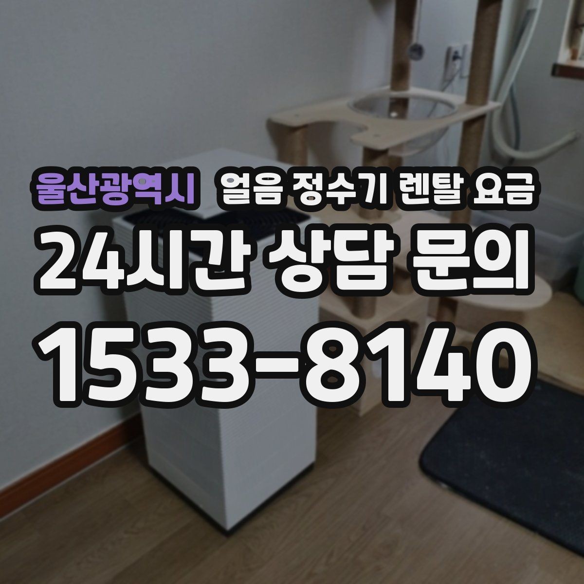 울산광역시 얼음 정수기 렌탈 요금 고급형과 보급형 차이 정리