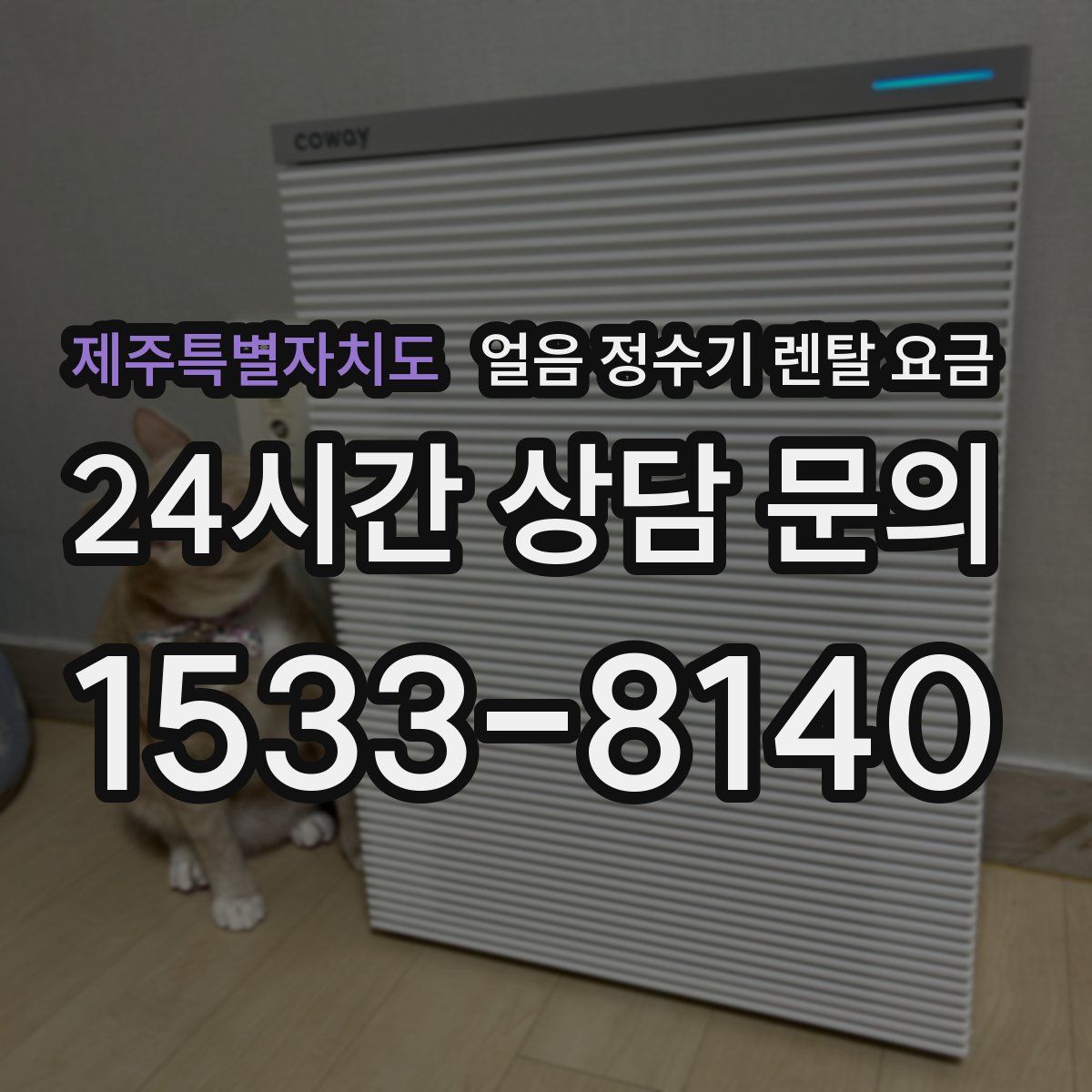 제주특별자치도 얼음 정수기 렌탈 요금